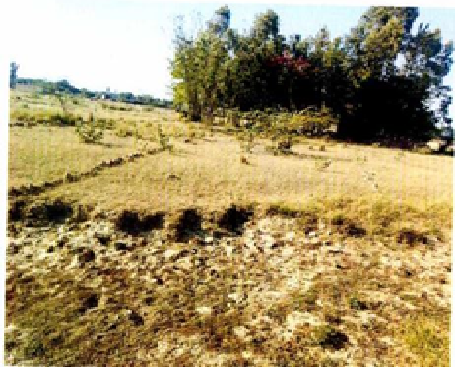 SALE_NOTICE_VISHAL_TRADING_COMPANY1